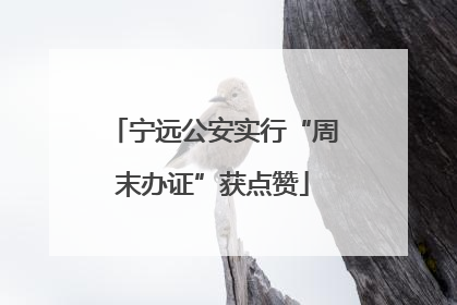宁远公安实行“周末办证”获点赞