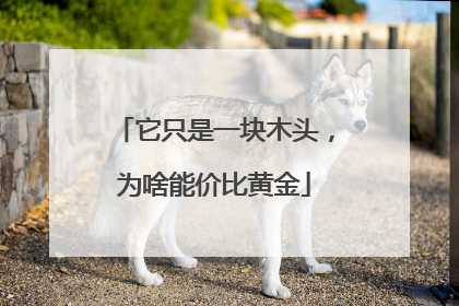 它只是一块木头，为啥能价比黄金