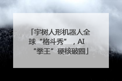 宇树人形机器人全球“格斗秀”，AI“拳王”硬核破圈