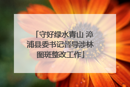 守好绿水青山 漳浦县委书记督导涉林图斑整改工作