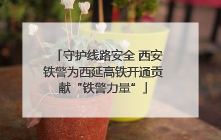 守护线路安全 西安铁警为西延高铁开通贡献“铁警力量”