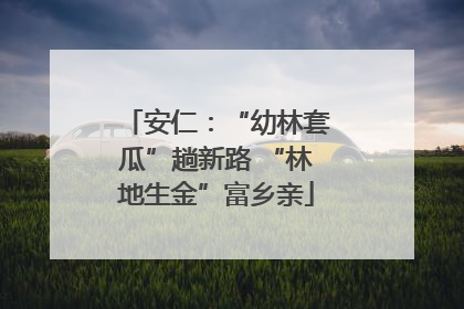 安仁：“幼林套瓜”趟新路 “林地生金”富乡亲