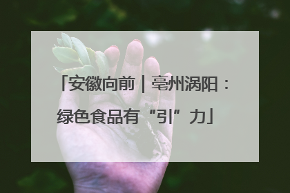 安徽向前｜亳州涡阳：绿色食品有“引”力