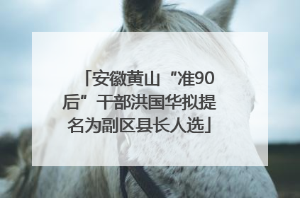 安徽黄山“准90后”干部洪国华拟提名为副区县长人选