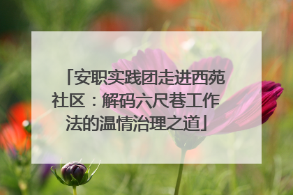 安职实践团走进西苑社区：解码六尺巷工作法的温情治理之道