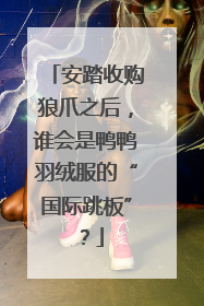 安踏收购狼爪之后，谁会是鸭鸭羽绒服的“国际跳板”？
