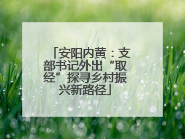 安阳内黄：支部书记外出“取经”探寻乡村振兴新路径