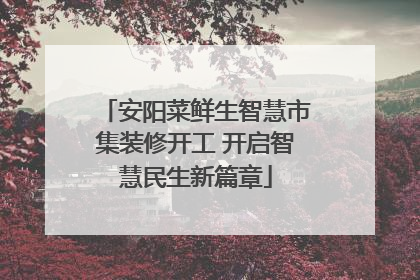 安阳菜鲜生智慧市集装修开工 开启智慧民生新篇章