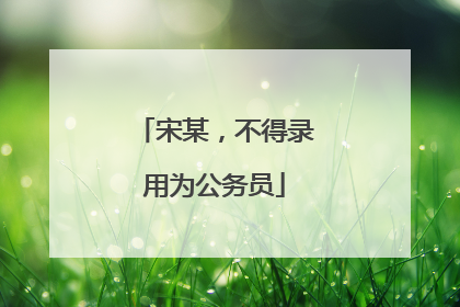 宋某，不得录用为公务员