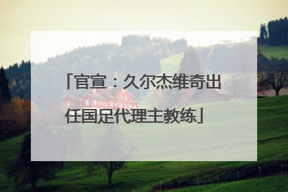 官宣：久尔杰维奇出任国足代理主教练