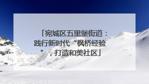 宛城区五里堡街道：践行新时代“枫桥经验”，打造和美社区