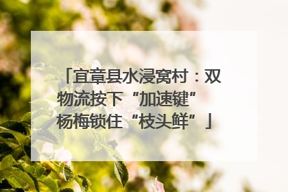 宜章县水浸窝村：双物流按下“加速键” 杨梅锁住“枝头鲜”