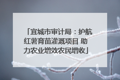 宜城市审计局：护航红薯育苗灌溉项目 助力农业增效农民增收