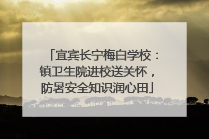 宜宾长宁梅白学校：镇卫生院进校送关怀，防暑安全知识润心田