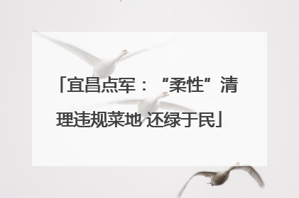 宜昌点军：“柔性”清理违规菜地 还绿于民