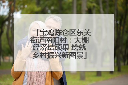 宝鸡陈仓区东关街道南阳村：大棚经济结硕果 绘就乡村振兴新图景