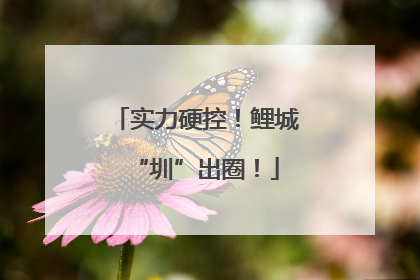 实力硬控！鲤城“圳”出圈！