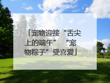 宠物迎接“舌尖上的端午” “宠物粽子”受喜爱