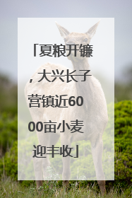 夏粮开镰，大兴长子营镇近6000亩小麦迎丰收