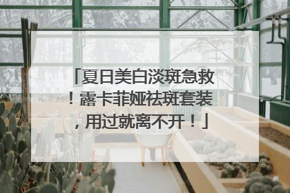 夏日美白淡斑急救！露卡菲娅祛斑套装，用过就离不开！