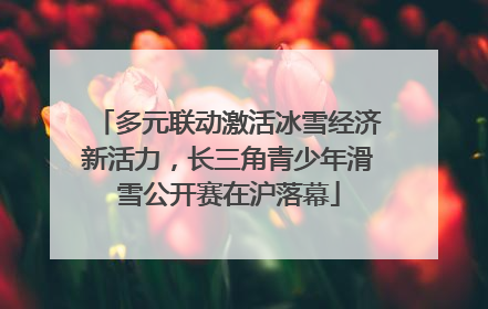 多元联动激活冰雪经济新活力，长三角青少年滑雪公开赛在沪落幕
