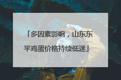 多因素影响，山东东平鸡蛋价格持续低迷