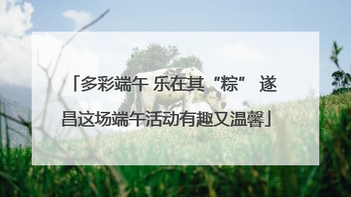多彩端午 乐在其“粽” 遂昌这场端午活动有趣又温馨
