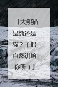 大熊猫是熊还是猫？（把自然讲给你听）