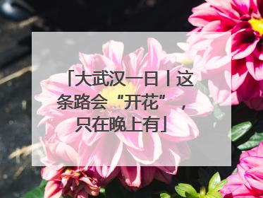 大武汉一日丨这条路会“开花”，只在晚上有