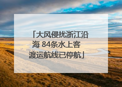 大风侵扰浙江沿海 84条水上客渡运航线已停航