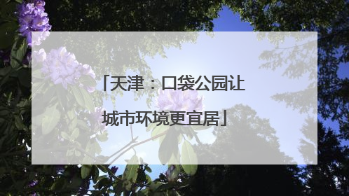 天津：口袋公园让城市环境更宜居