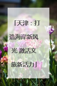 天津：打造海岸新风光 激活文旅新活力