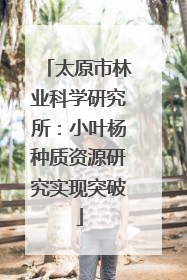 太原市林业科学研究所：小叶杨种质资源研究实现突破