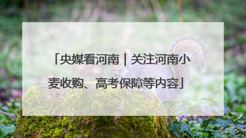 央媒看河南｜关注河南小麦收购、高考保障等内容