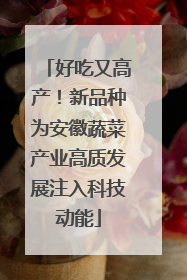 好吃又高产！新品种为安徽蔬菜产业高质发展注入科技动能