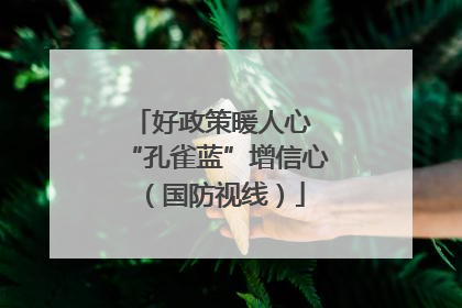 好政策暖人心 “孔雀蓝”增信心（国防视线）