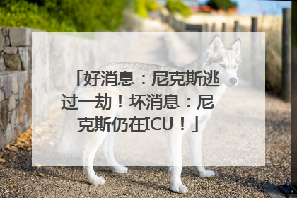 好消息：尼克斯逃过一劫！坏消息：尼克斯仍在ICU！