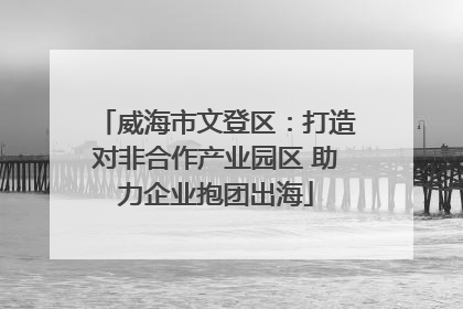 威海市文登区：打造对非合作产业园区 助力企业抱团出海