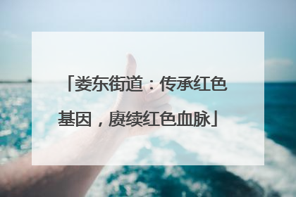 娄东街道：传承红色基因，赓续红色血脉