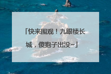 快来围观！九眼楼长城，傻狍子出没~