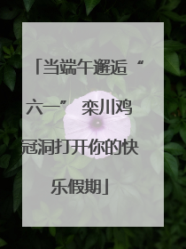 当端午邂逅“六一” 栾川鸡冠洞打开你的快乐假期