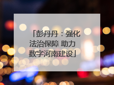彭丹丹：强化法治保障 助力数字河南建设