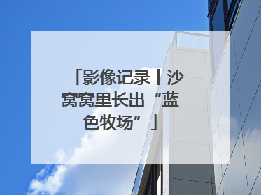 影像记录丨沙窝窝里长出“蓝色牧场”