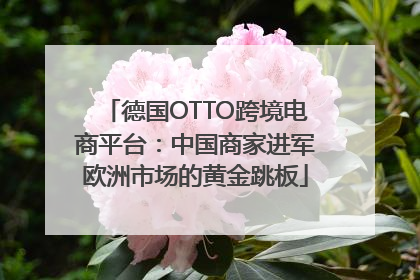 德国OTTO跨境电商平台：中国商家进军欧洲市场的黄金跳板
