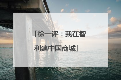 徐一评：我在智利建中国商城