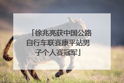 徐兆亮获中国公路自行车联赛康平站男子个人赛冠军