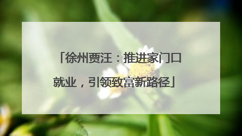徐州贾汪：推进家门口就业，引领致富新路径