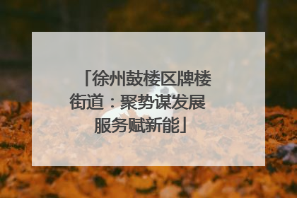 徐州鼓楼区牌楼街道：聚势谋发展 服务赋新能