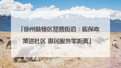 徐州鼓楼区琵琶街道：医保政策进社区 惠民服务零距离