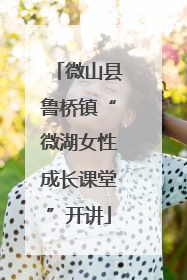 微山县鲁桥镇“微湖女性成长课堂”开讲